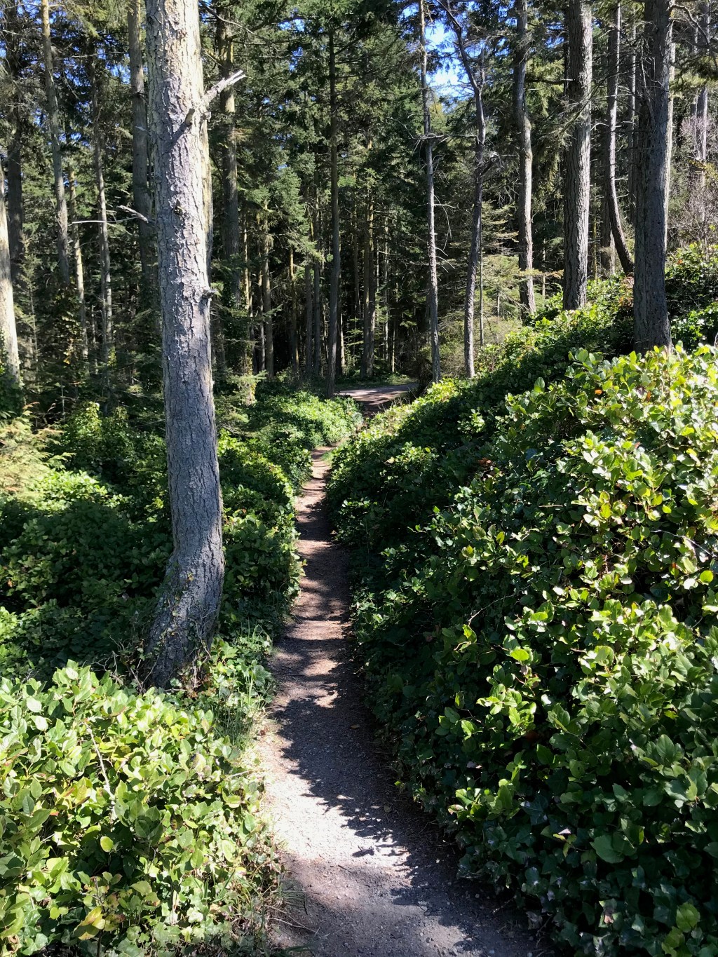 The Cascade Loop – Part&nbsp;1