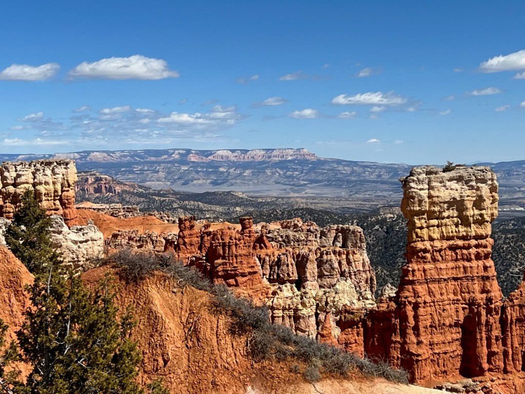 National Park Palooza!