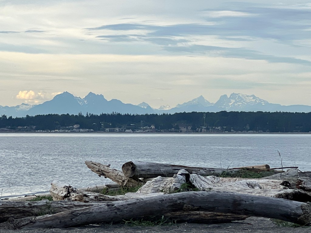 Summer Camp Host…Again!